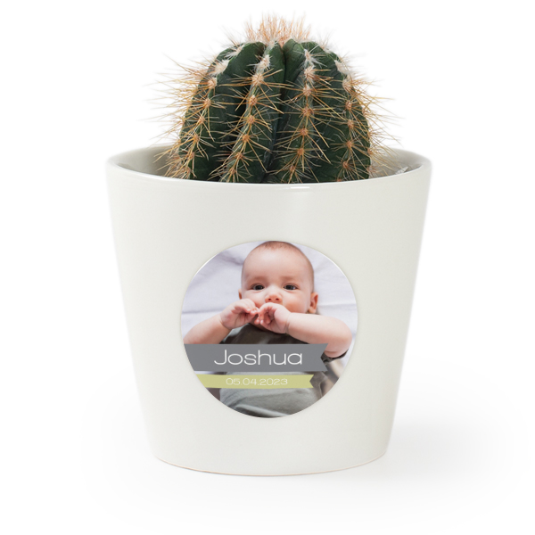 Bloempot met sticker - set van 12 Bloempot met sticker - set van 12
