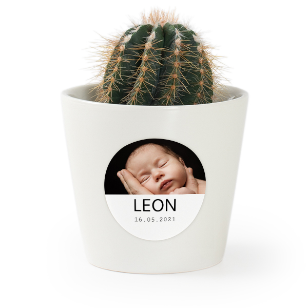 Bloempot met sticker - set van 12