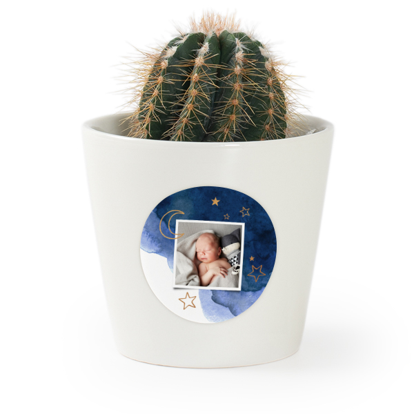 Bloempot met sticker - set van 12