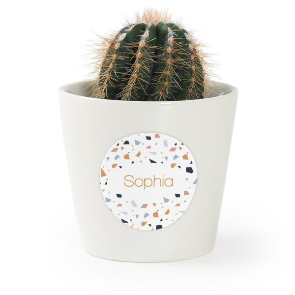 Bloempot met sticker - set van 12