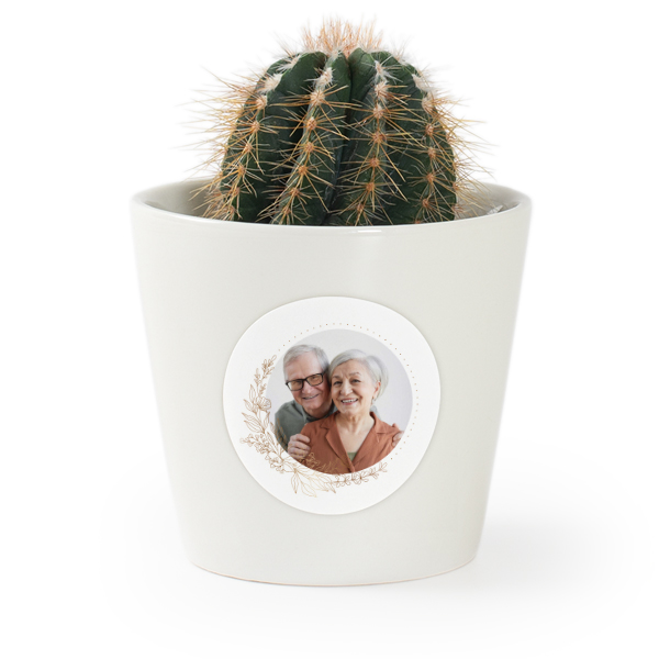 Flower pot with sticker - set of 12