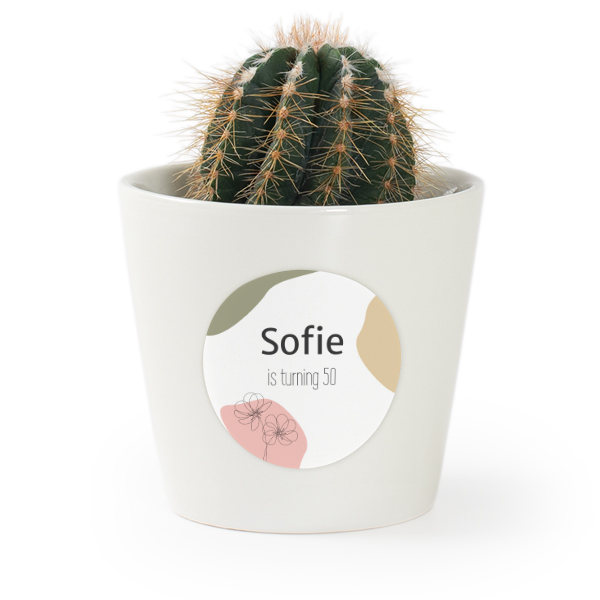 Flower pot with sticker - set of 12