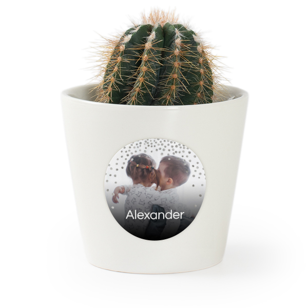 Bloempot met sticker - set van 12