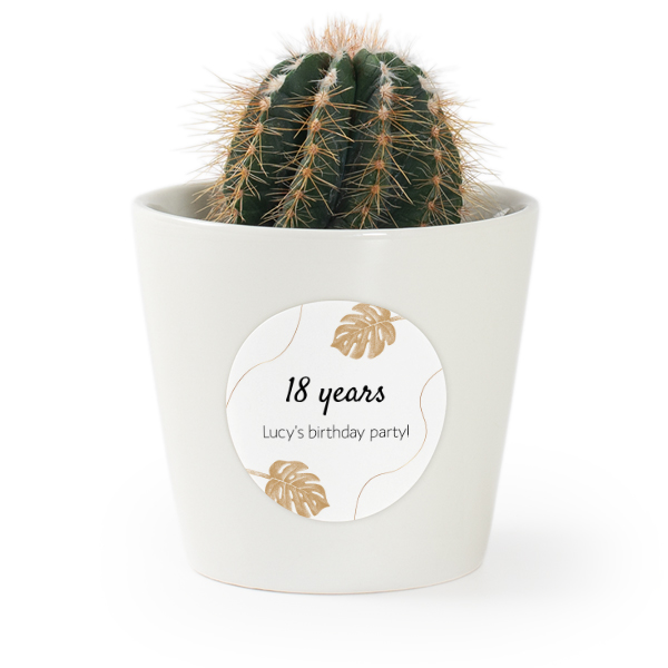 Flower pot with sticker - set of 12