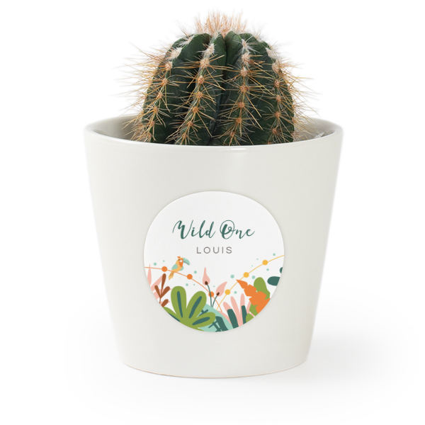 Bloempot met sticker - set van 12