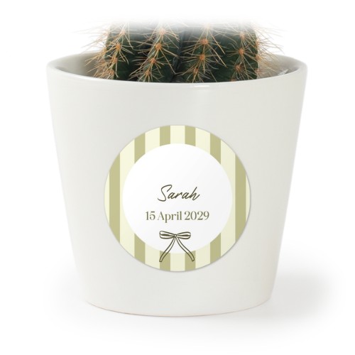 GiftSticker_CelebrationStripes