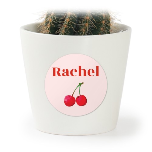Bloempot met sticker - set van 12 Bloempot met sticker - set van 12