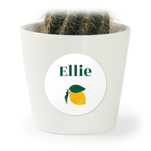 Bloempot met sticker - set van 12 Bloempot met sticker - set van 12
