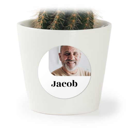 Plant Pot with Sticker - Set of 12 Plant Pot with Sticker - Set of 12