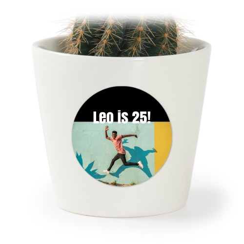 Plant Pot with Sticker - Set of 12 Plant Pot with Sticker - Set of 12