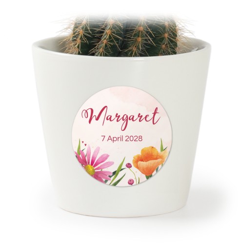 Plant Pot with Sticker - Set of 12 Plant Pot with Sticker - Set of 12