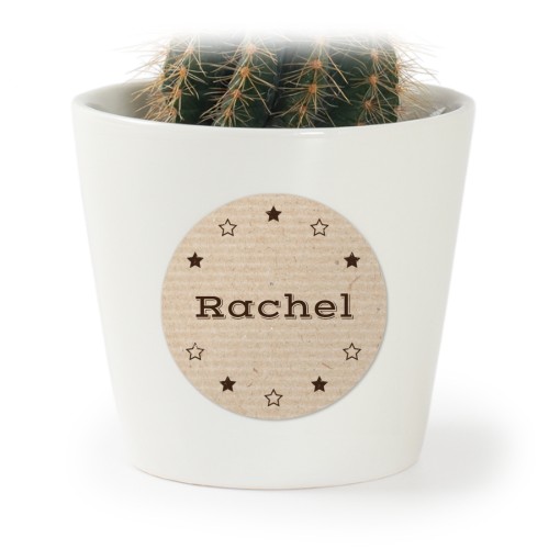 Plant Pot with Sticker - Set of 12