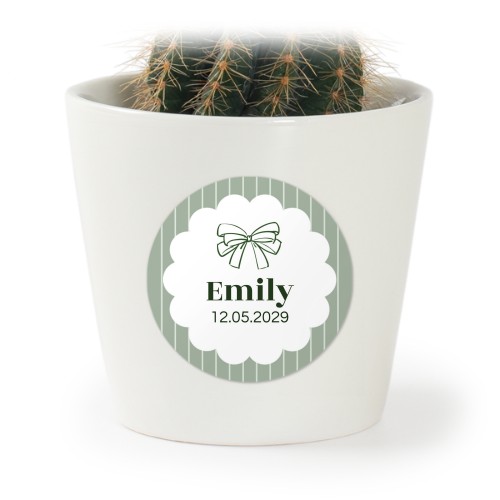 Bloempot met sticker - set van 12