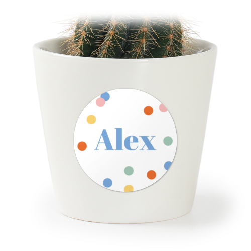 GiftSticker_RainbowConfetti