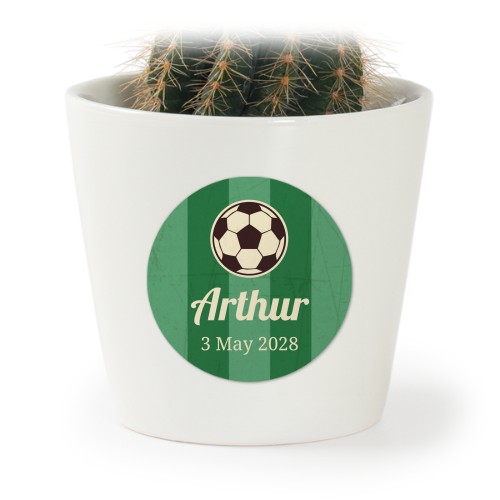 Football Field Vintage - Text Only