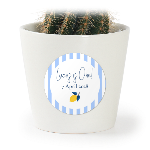 Lemon Stripes Party