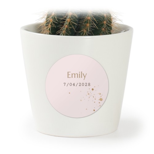 GiftSticker_GoldSparklesPartyPink