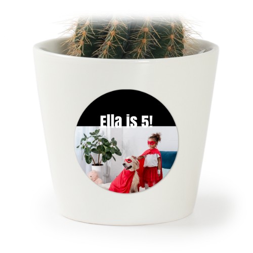 Bloempot met sticker - set van 12 Bloempot met sticker - set van 12