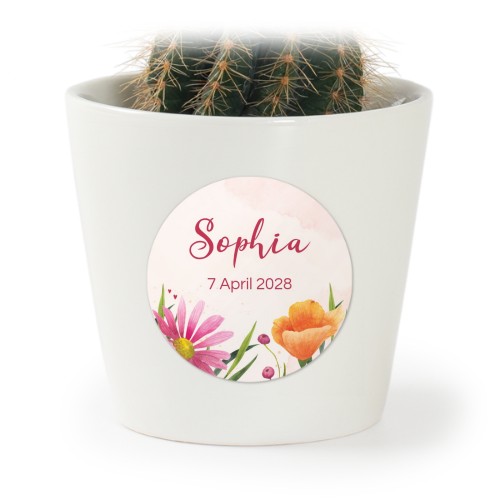 Plant Pot with Sticker - Set of 12