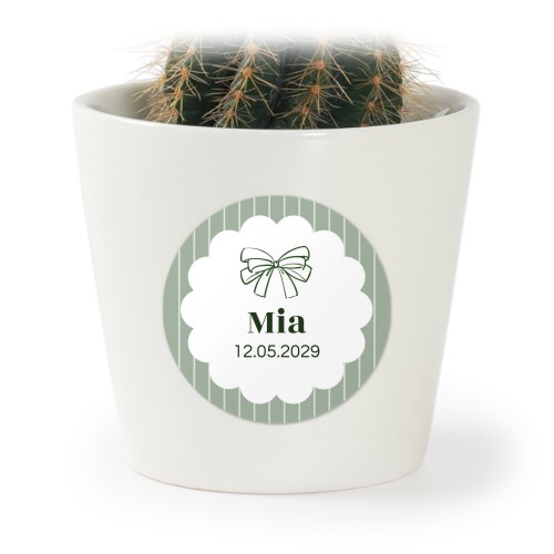 Pot de fleurs avec autocollant - lot de 12