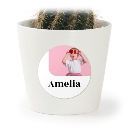 Bloempot met sticker - set van 12 Bloempot met sticker - set van 12