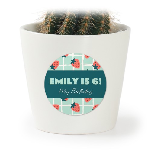 Blomsterpotte med klistremerke - sett med 12 stk