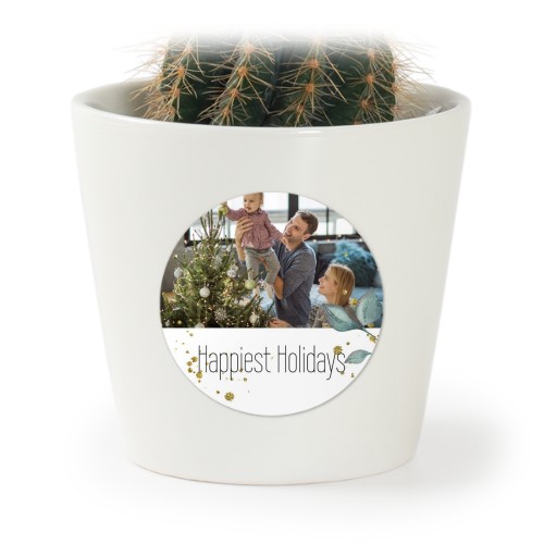 Plant Pot with Sticker - Set of 12