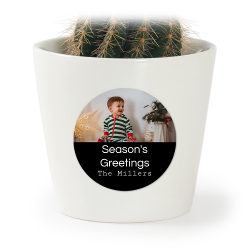 Kukkaruukku tarralla - 12 kpl