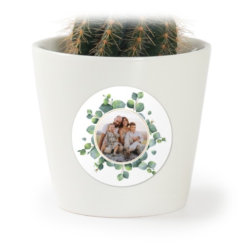 Plant Pot with Sticker - Set of 12 Plant Pot with Sticker - Set of 12