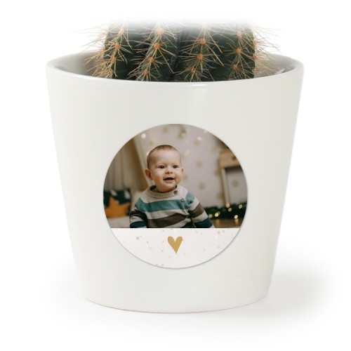 Plant Pot with Sticker - Set of 12