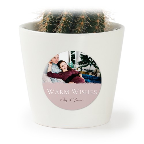 Bloempot met sticker - set van 12 Bloempot met sticker - set van 12
