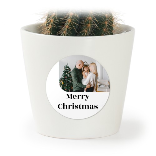 Bloempot met sticker - set van 12