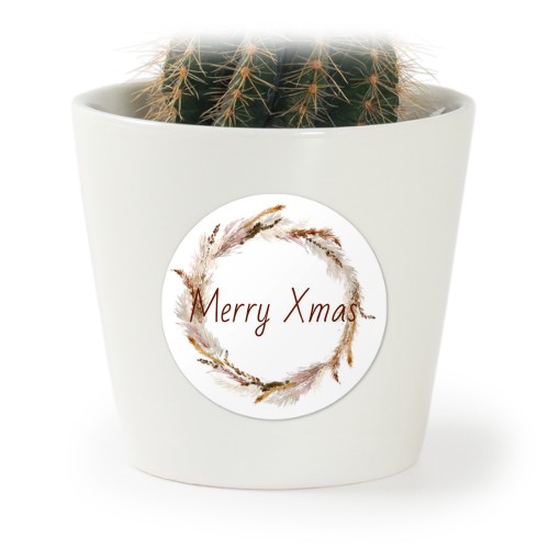 Bloempot met sticker - set van 12 Bloempot met sticker - set van 12