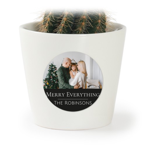 Plant Pot with Sticker - Set of 12 Plant Pot with Sticker - Set of 12