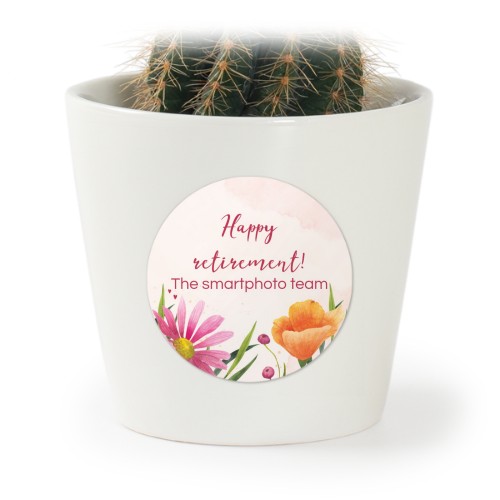 Plant Pot with Sticker - Set of 12 Plant Pot with Sticker - Set of 12