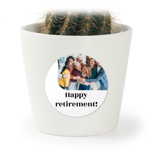 Plant Pot with Sticker - Set of 12 Plant Pot with Sticker - Set of 12