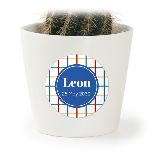 Colorful Grid - Text Only