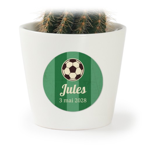 Pot de fleurs avec autocollant - lot de 12