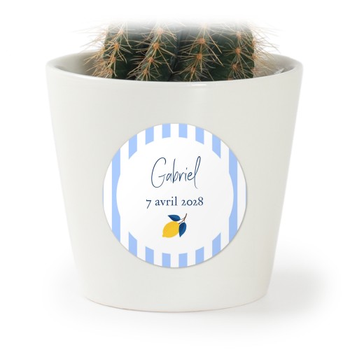 Pot de fleurs avec autocollant - lot de 12