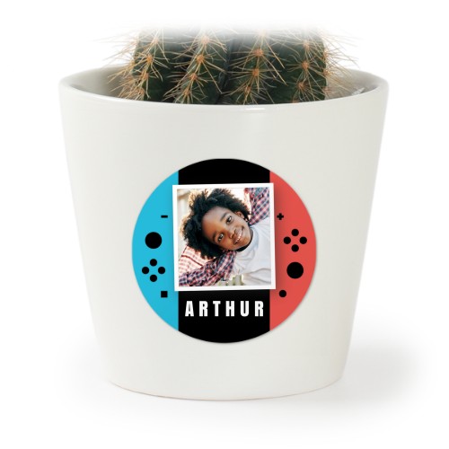 Pot de fleurs avec autocollant - lot de 12