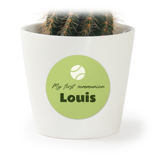 Plant Pot with Sticker - Set of 12 Plant Pot with Sticker - Set of 12