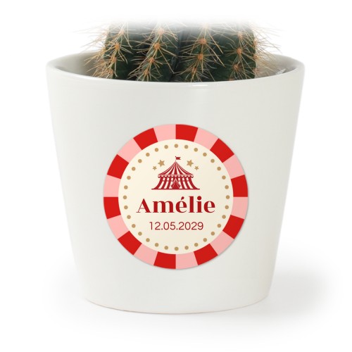 Circus Ticket Circus Ticket