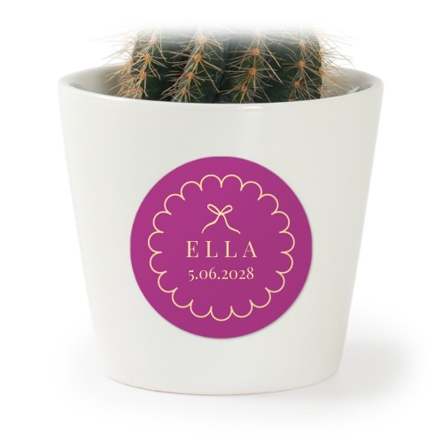 Classy Scallop Bow - Text Only