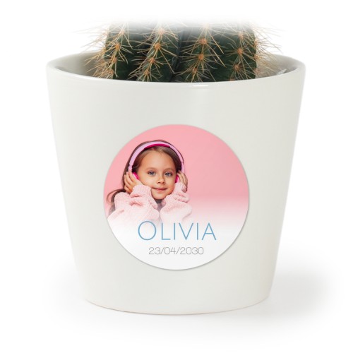 Bloempot met sticker - set van 12