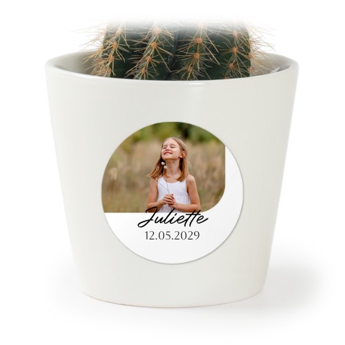 Elegant Collage Elegant Collage