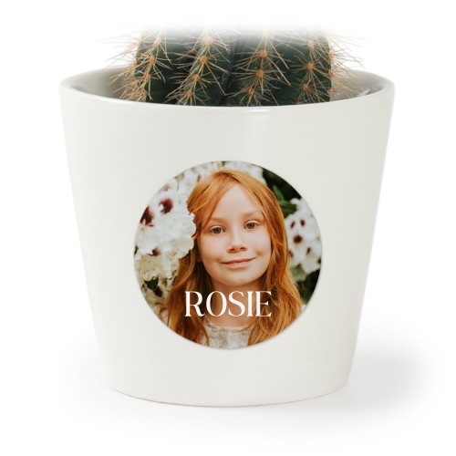 Plant Pot with Sticker - Set of 12 Plant Pot with Sticker - Set of 12