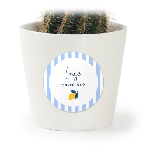 Pot de fleurs avec autocollant - lot de 12