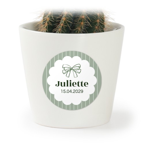 Pot de fleurs avec autocollant - lot de 12