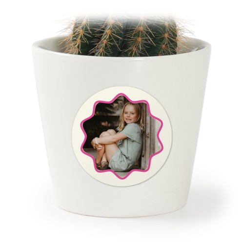 Soft Wave Frame Soft Wave Frame