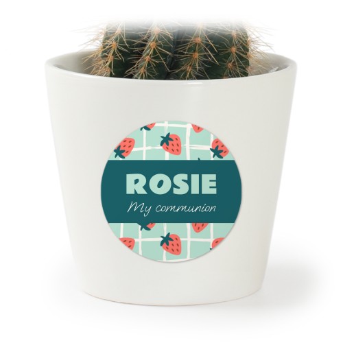 Plant Pot with Sticker - Set of 12